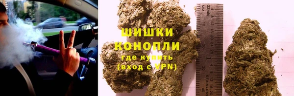дживик Осташков