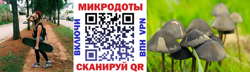 Псилоцибиновые грибы мухоморы  Сорск 