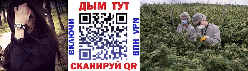 Конопля OG Kush площадка формула Сорск